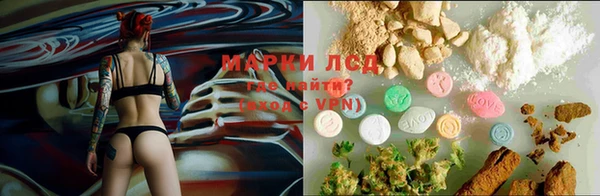 молекула духа Баксан